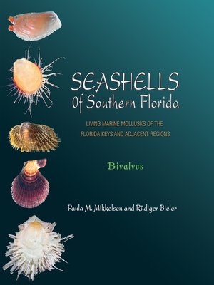 cover image of Seashells of Southern Florida